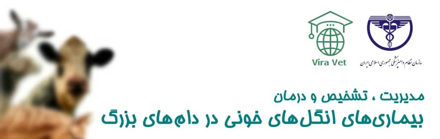 مدیریت، تشخیص و درمان بیماری های انگل های خونی در دام های بزرگ