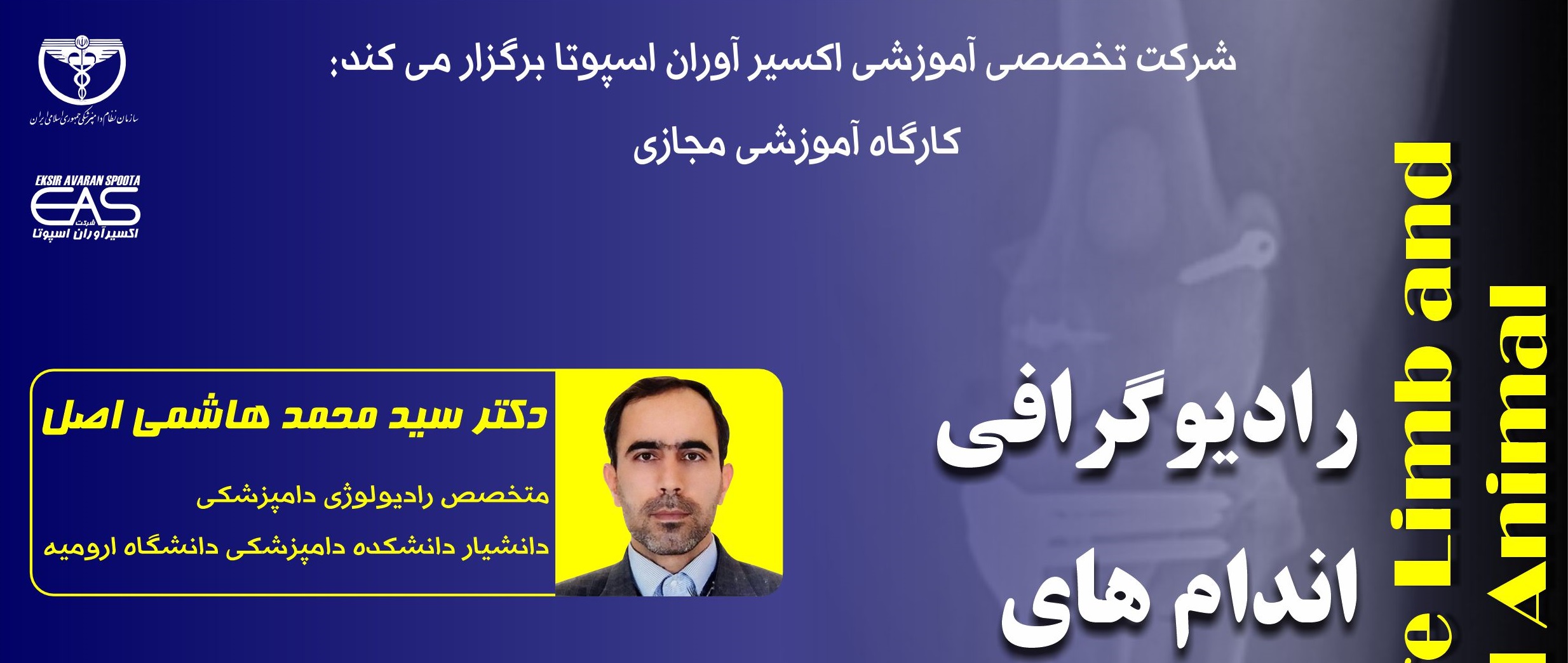کارگاه آموزشی مجازی" رادیوگرافی اندام های حرکتی در حیوانات کوچک"