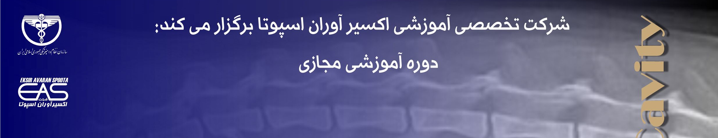 دوره آموزشی مجازی " رادیولوژی محوطه بطنی در سگ و گربه"
