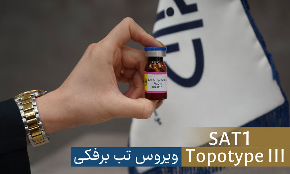 جداسازی ویروس تب برفکی SAT1 و تولید بذر واکسن در موسسه رازی