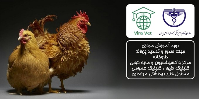 دوره آموزش مجازی برونشیت عفونی طیور 