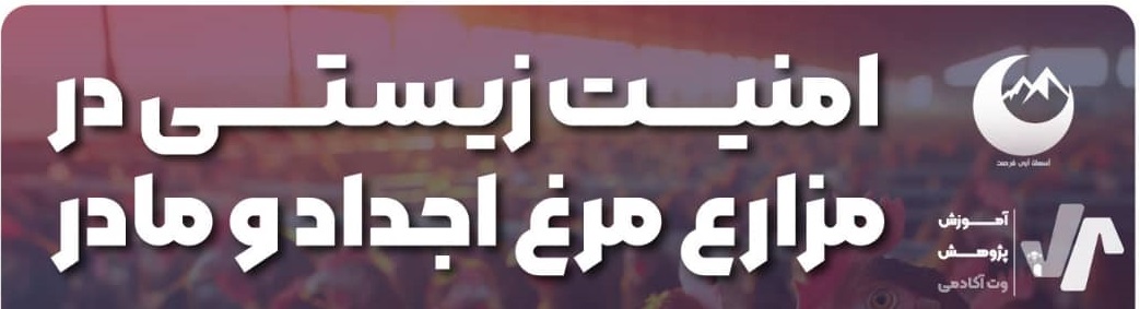 امنیت زیستی در مزارع مرغ اجداد و مادر