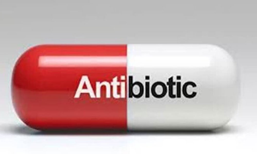  تأکید بر مسئولیت حرفه‌ای دامپزشکان در تجویز و مدیریت منطقی مصرف داروهای ضدمیکروب