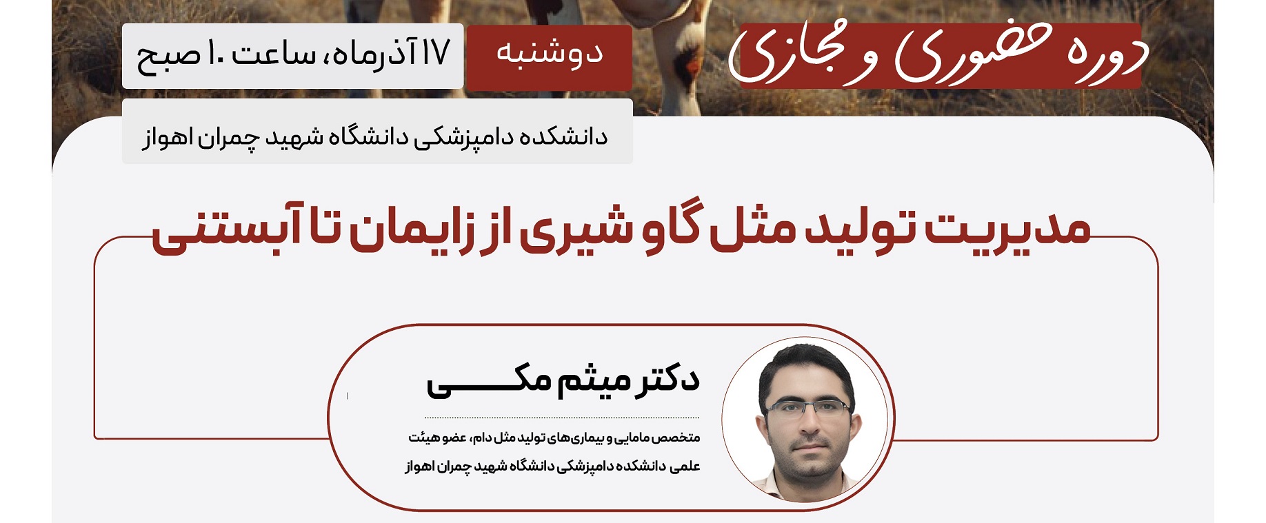 مدیریت تولید مثل گاو شیری از آبستنی تا زایمان