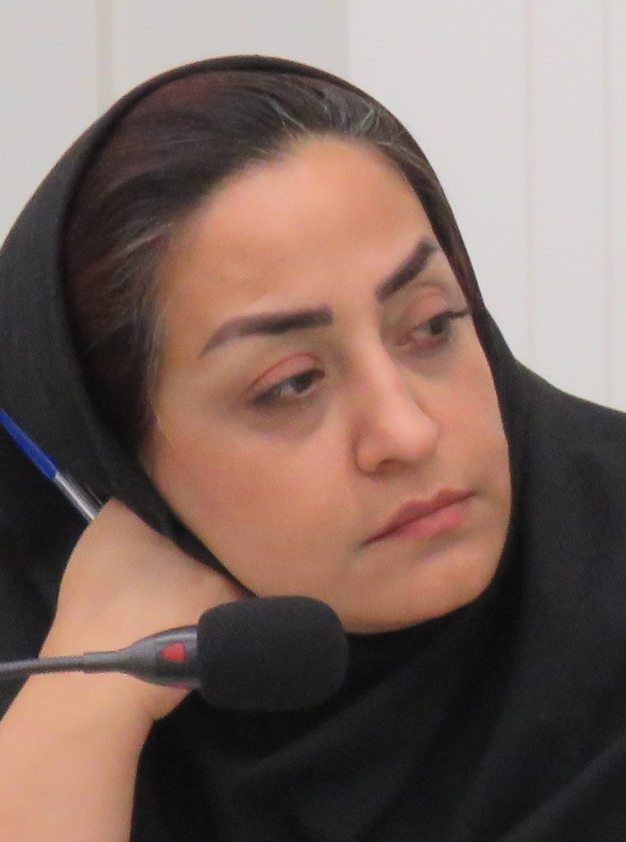 مسئول کنگره ها