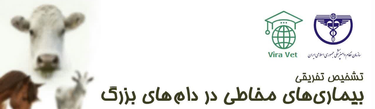 تشخیص تفریقی بیماری های مخاطی در دام های بزرگ