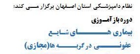 بیماری هــــــای شـایـع  عفونــــی در گربــــه ها  (مجازی)