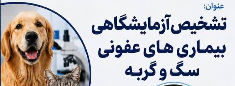دوره آموزشی مجازی تشخیص آزمایشگاهی بیماری های عفونی در سگ و گربه