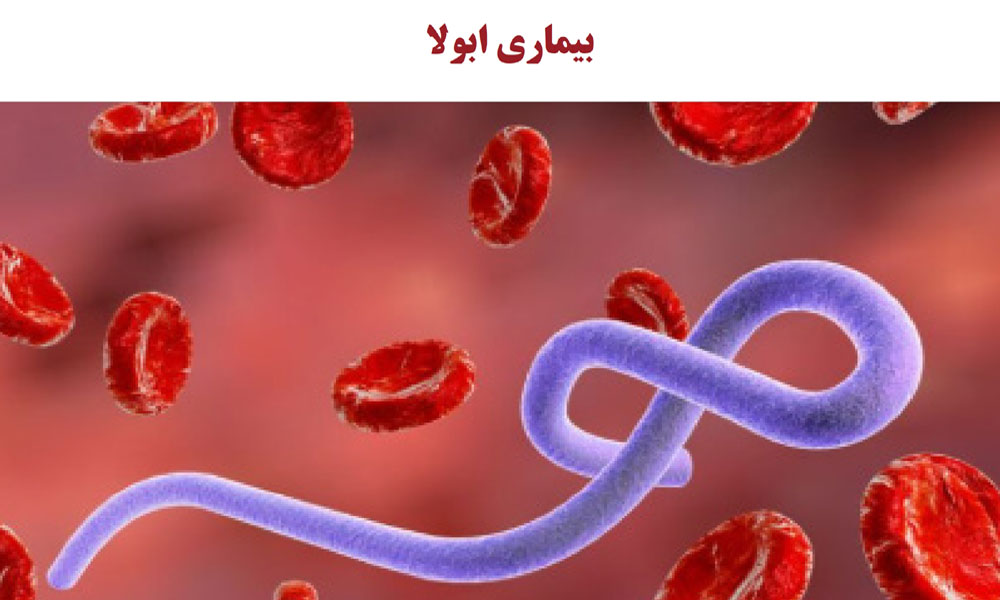 آشنایی با بیماری‌های قابل انتقال بین انسان و حیوان - بیماری ابولا