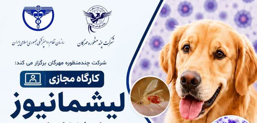 لیشمانیوز؛ جنبه‌های زئونوتیک و اهمیت تشخیص و کنترل بیماری در سگ‌ها