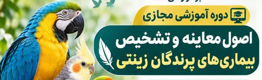 اصول معاینه و تشخیص بیماری های پرندگان زینتی