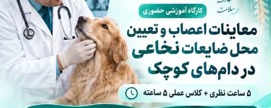 کارگاه آموزشی حضوری معاینات اعصاب و تعیین محل ضایعات نخاعی در دام‌های کوچک
