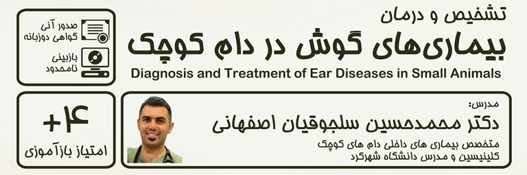 تشخیص و درمان بیماری های گوش در دام کوچک