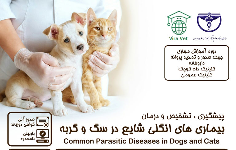 پیشگیری، تشخیص و درمان بیماری های انگلی شایع در سگ و گربه