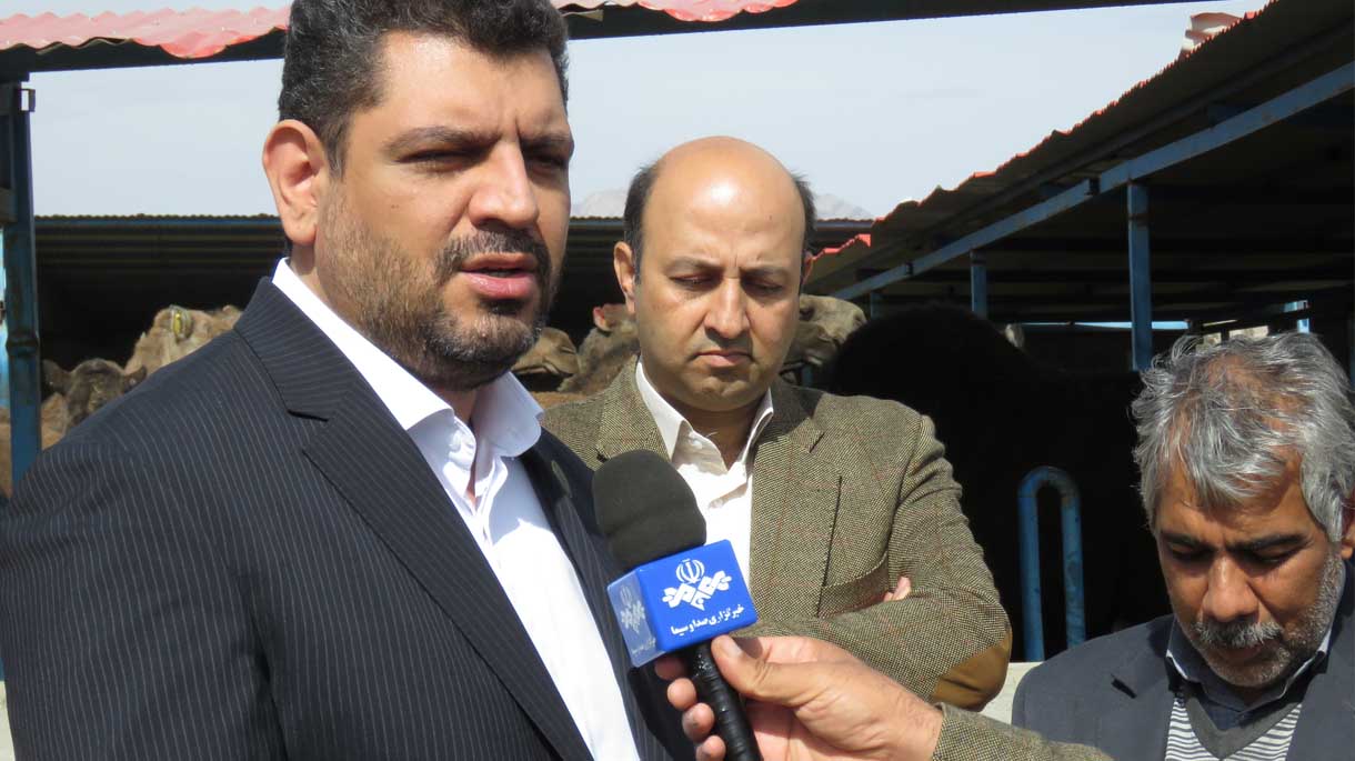  افتتاح اولین واحد شتر داشتی صنعتی استان سیستان و بلوچستان